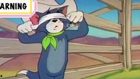 火影汤姆爆料视频大全在线观看,视频大全在线观看，揭秘忍界风云  第3张