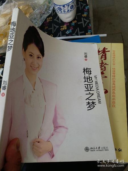 古董商爆料视频大全下载,探寻珍稀古董背后的故事  第3张