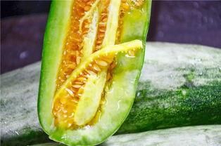 爱可可网红吃瓜图片大全,爱可可图片大全里的趣味时光  第3张